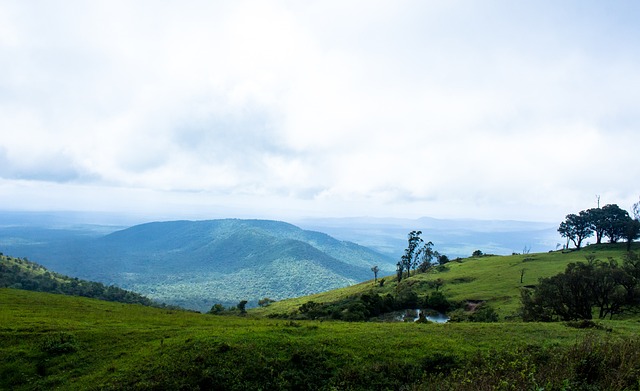 官方：埃里克·加西亚与巴萨续约至2031年