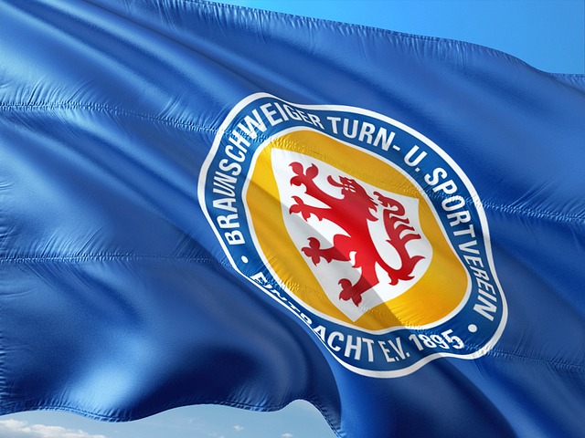 关于国际奥