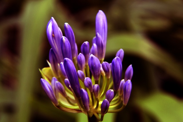 图个新鲜 图个新鲜