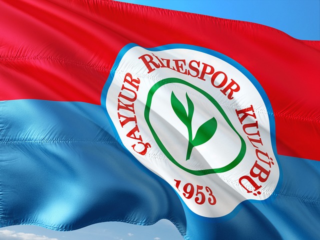 他運動員學 他運動員學