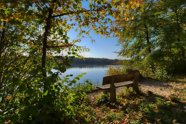 多彩的冬季 多彩的冬季