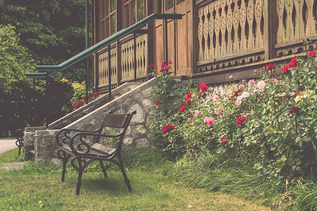 名球员的例 名球员的例