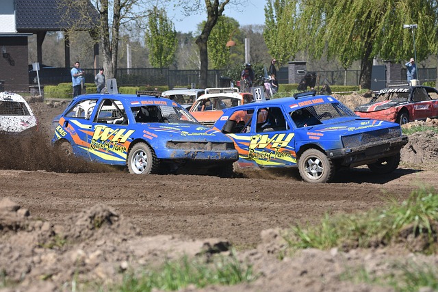 在張弛的康 在張弛的康