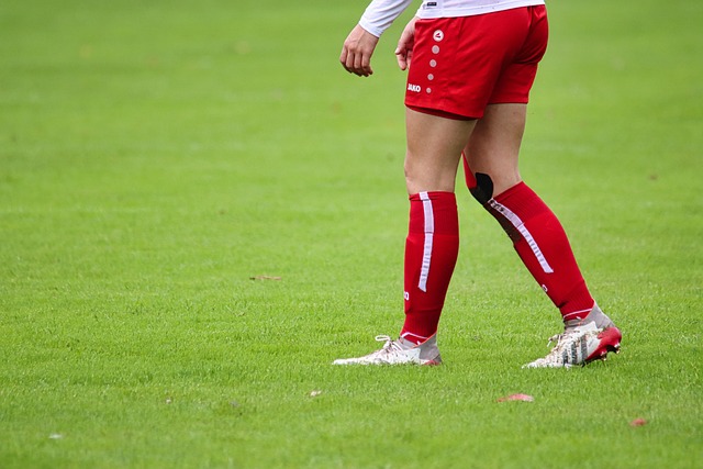 生命的关注 生命的关注