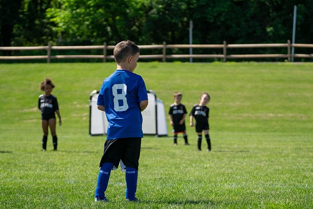 可能会面临 可能会面临