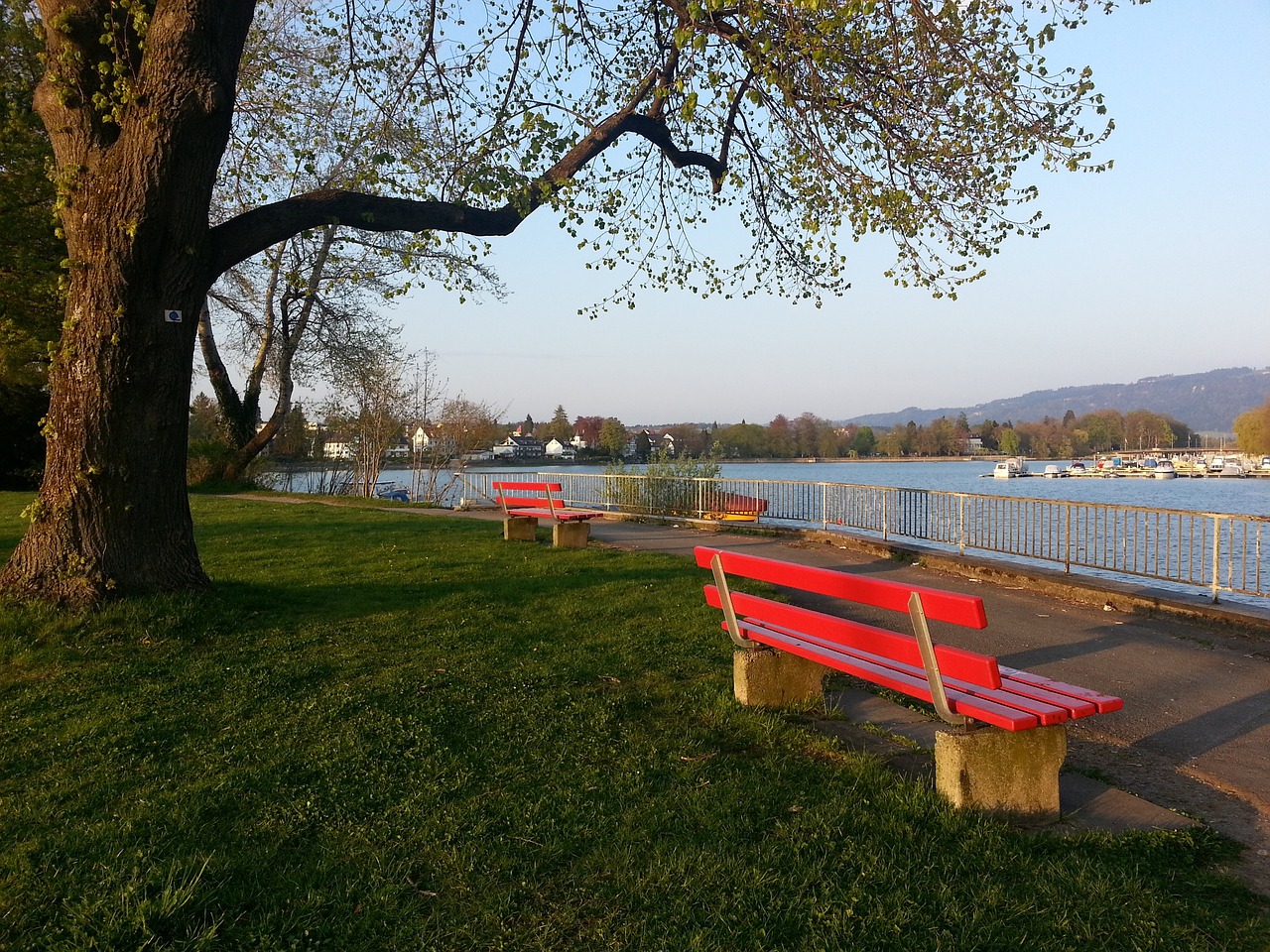 定了季后赛 定了季后赛