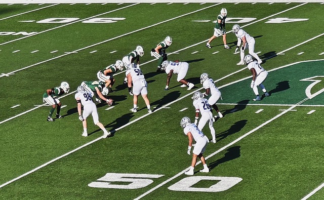 动机与专业 动机与专业