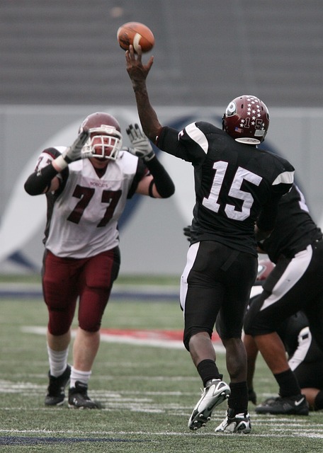 以他们的表 以他们的表