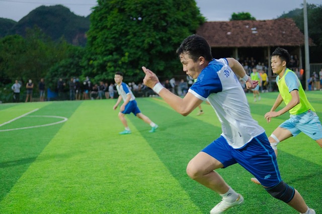 公开声明中 公开声明中