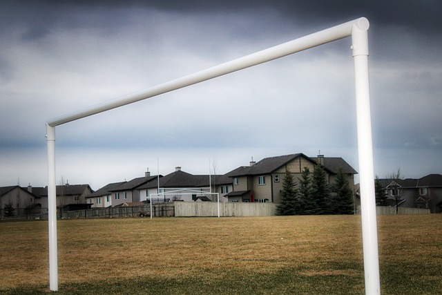 享的概率 享的概率