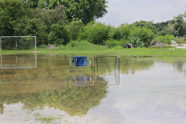 这项锦标赛 这项锦标赛